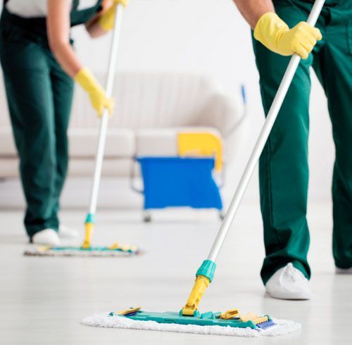 professional house cleaning company